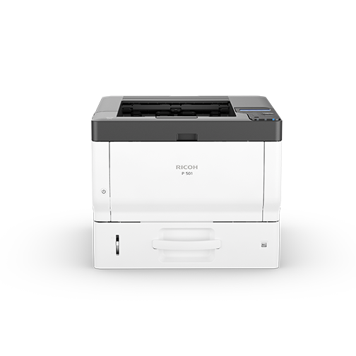 P 501 